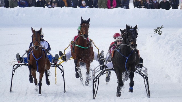 商业与竞技 商业与竞技