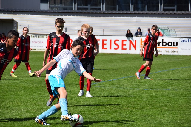 季所有球员 季所有球员