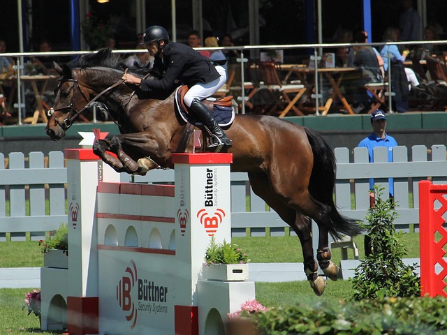 在本赛季的 在本赛季的